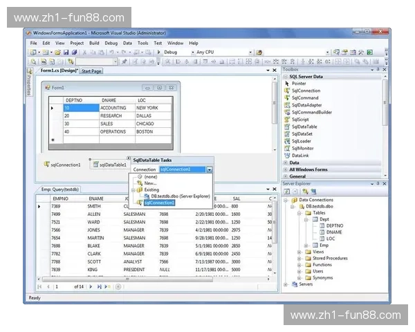 VisualStudio2012表格：重塑数据展现与交互的利器